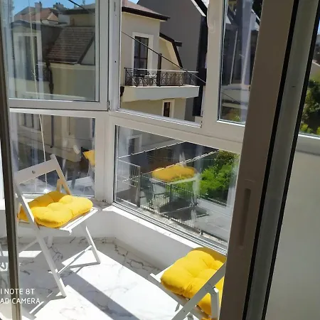 данделион Burgas