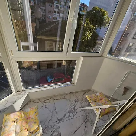 данделион * بورغاس