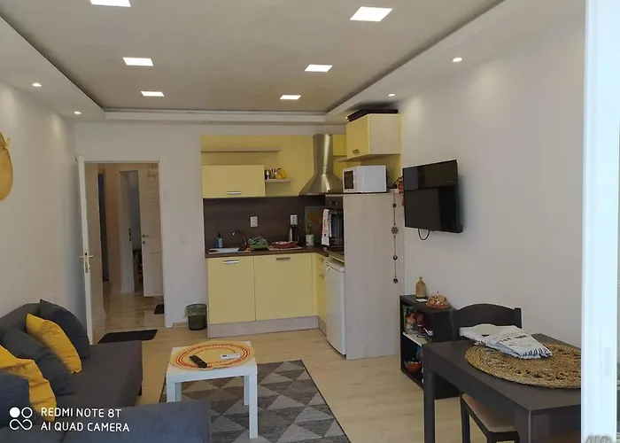 данделион *